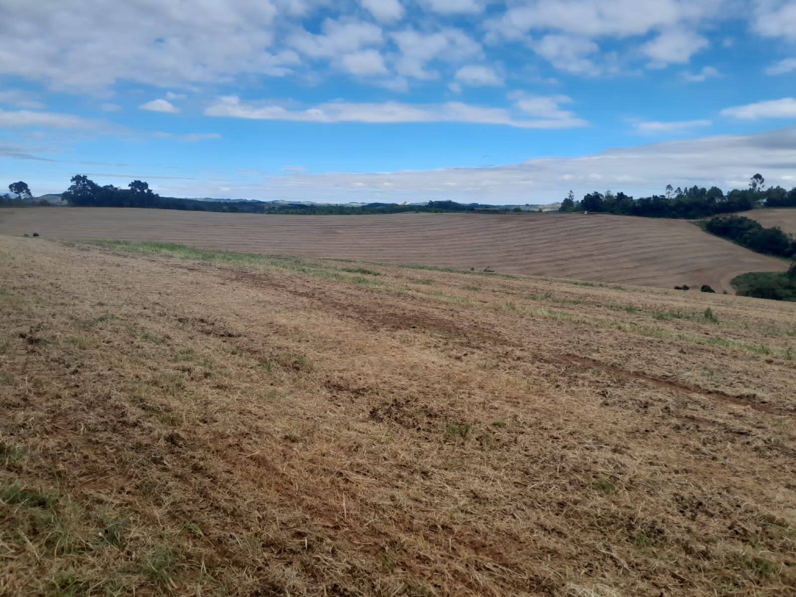 Fazenda em São Vicente de Minas/Minas Gerais — Ref 86KU5Z — Imagem 20