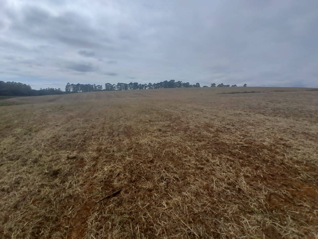 Fazenda em São Vicente de Minas/Minas Gerais — Ref 86KU5Z — Imagem 19