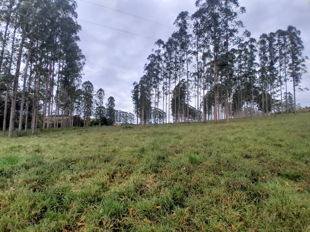 Fazenda em São Vicente de Minas/Minas Gerais — Ref 86KU5Z — Imagem 21