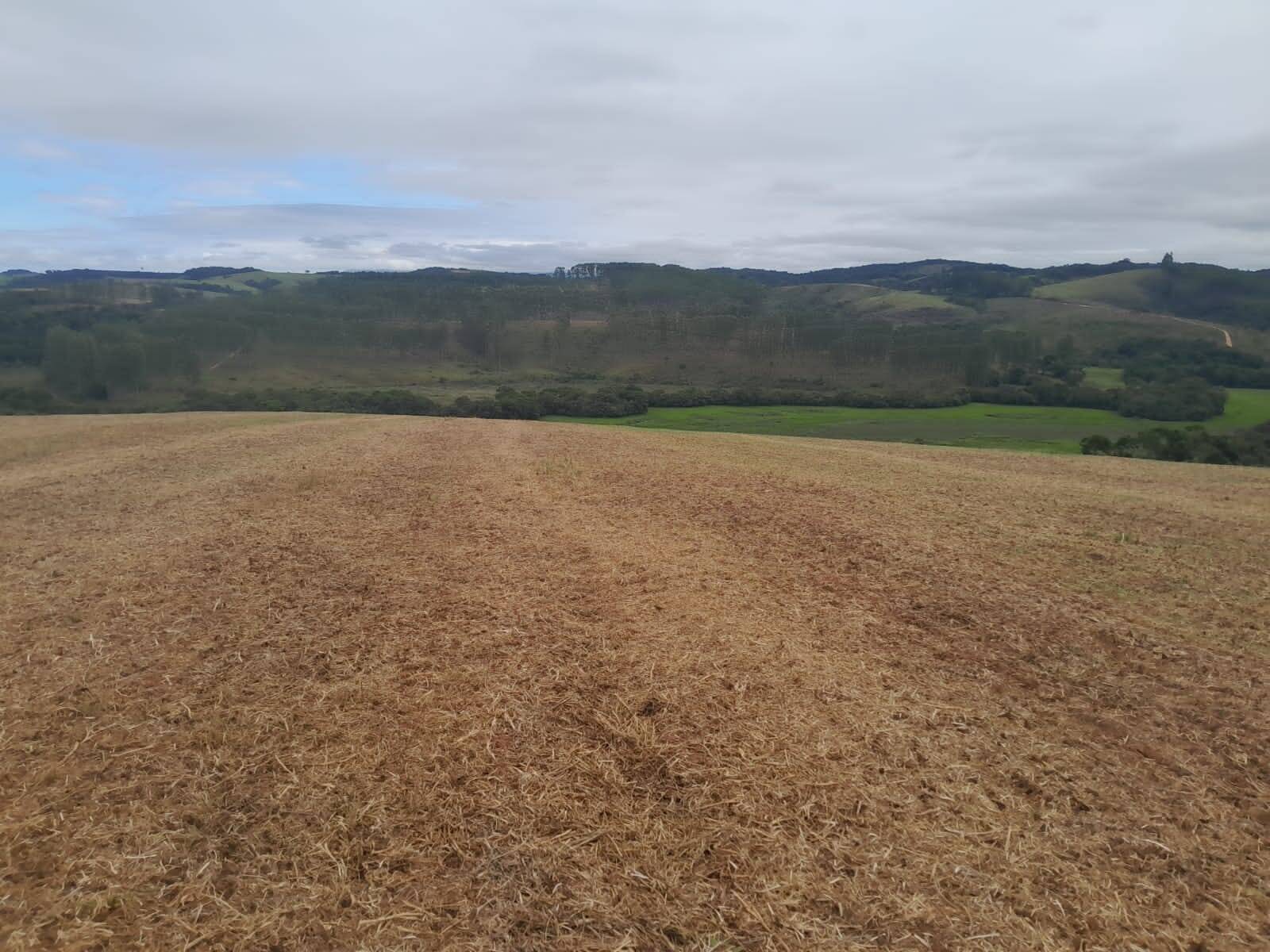 Fazenda em São Vicente de Minas/Minas Gerais — Ref 86KU5Z — Imagem 23