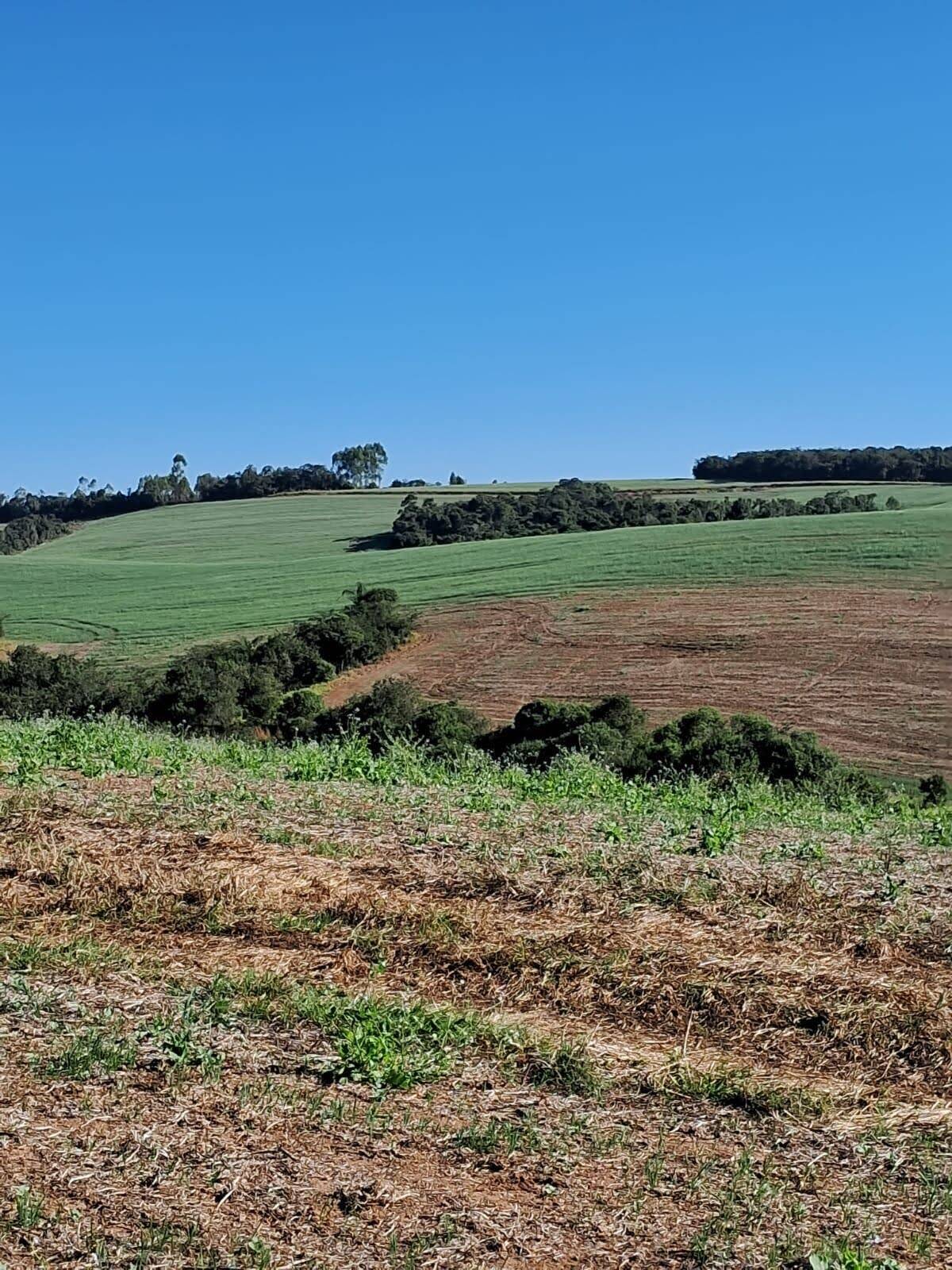 Fazenda em São Vicente de Minas/Minas Gerais — Ref 86KU5Z — Imagem 26