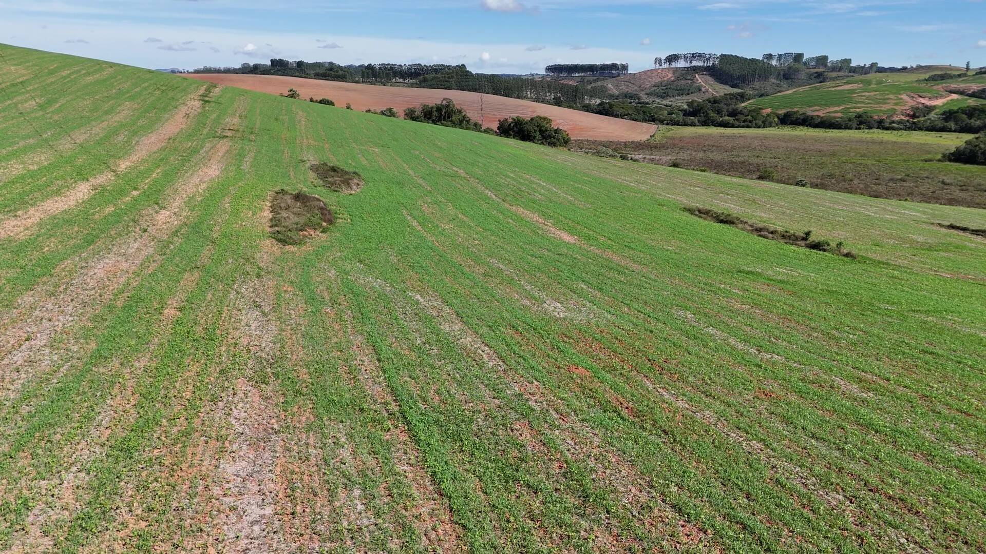 Fazenda em São Vicente de Minas/Minas Gerais — Ref 86KU5Z — Imagem 30