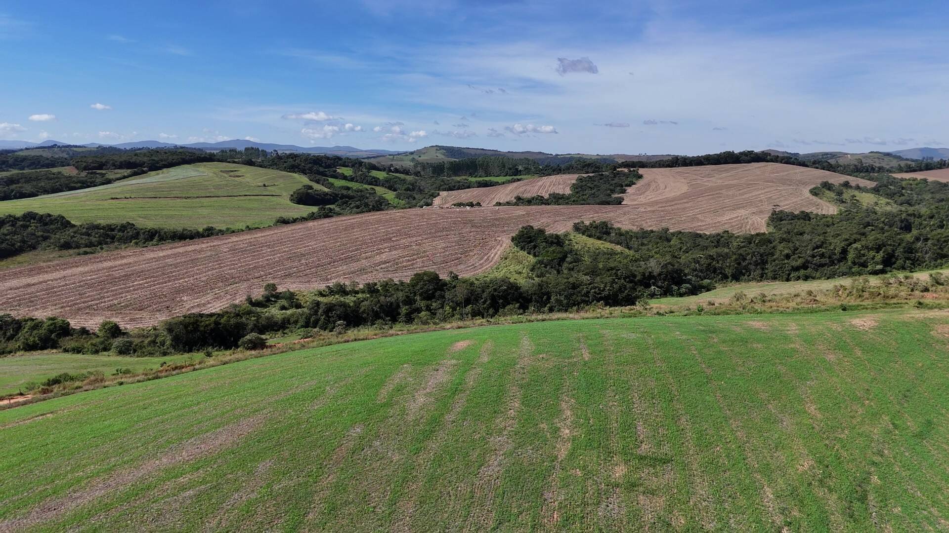 Fazenda em São Vicente de Minas/Minas Gerais — Ref 86KU5Z — Imagem 33