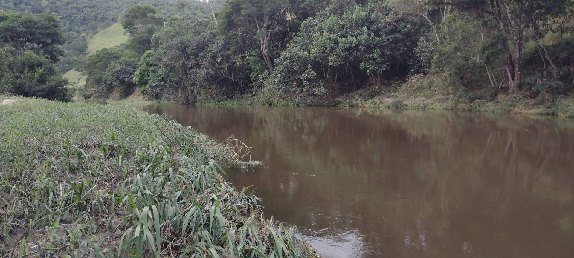 Terreno, 1 hectares - Foto 2