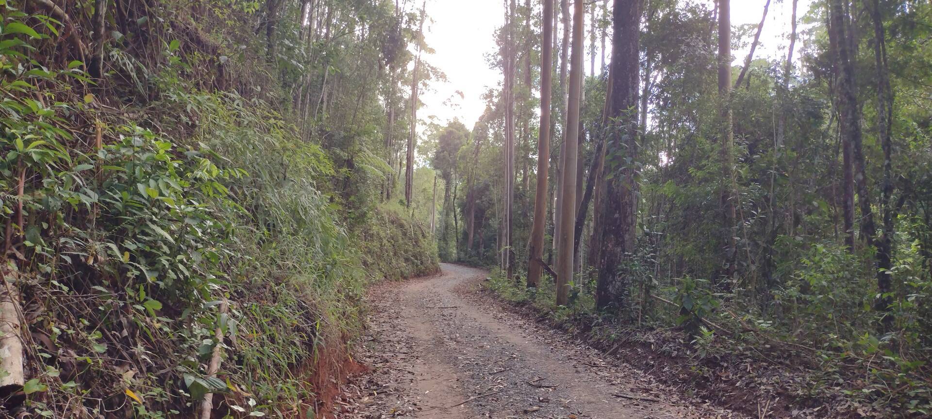 Sítio em São Luíz do Paraitinga/São Paulo — Ref A9AURF — Imagem 9