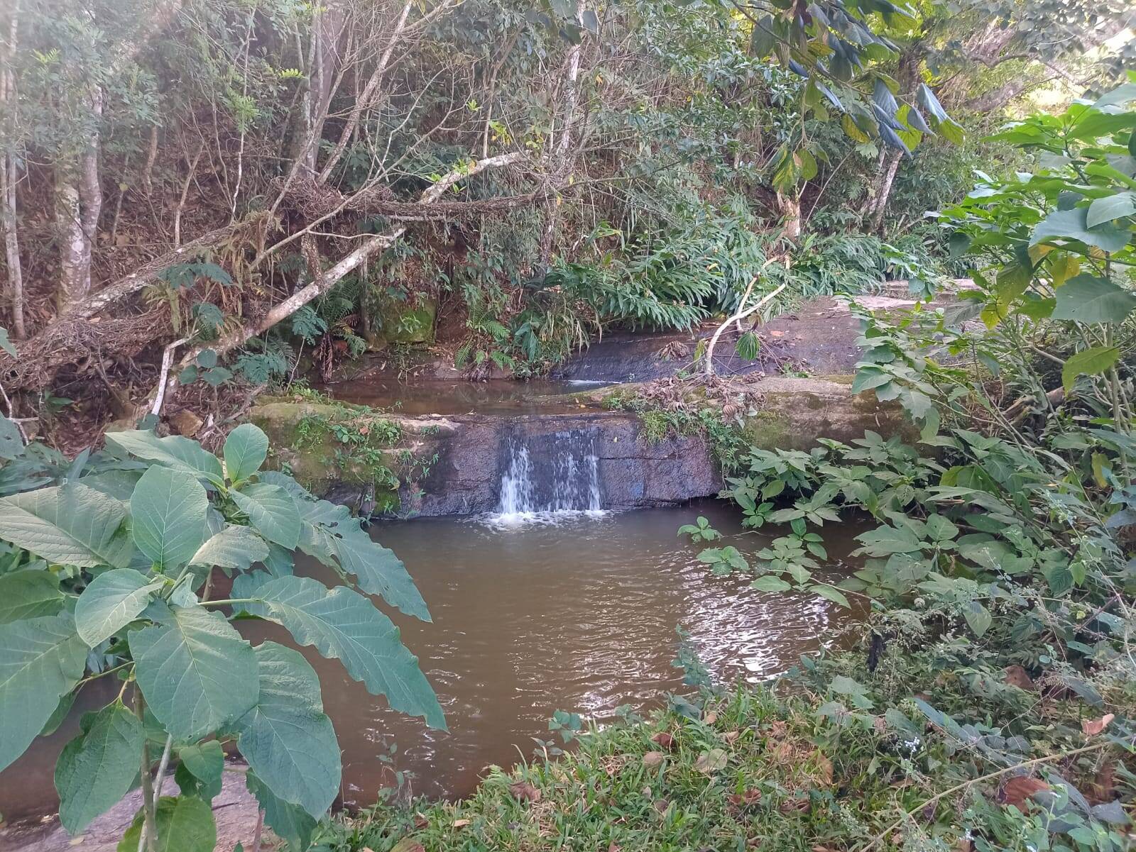 Terreno, 1 hectares - Foto 1