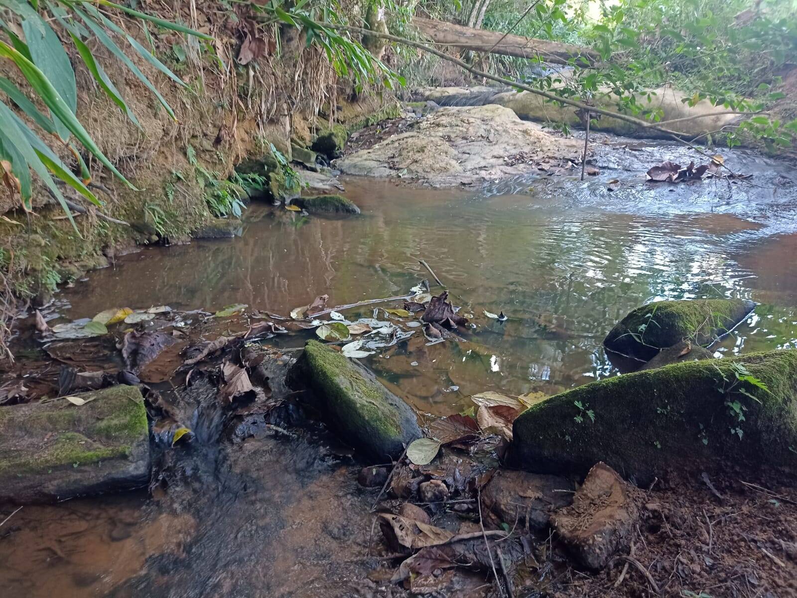 Terreno, 1 hectares - Foto 5