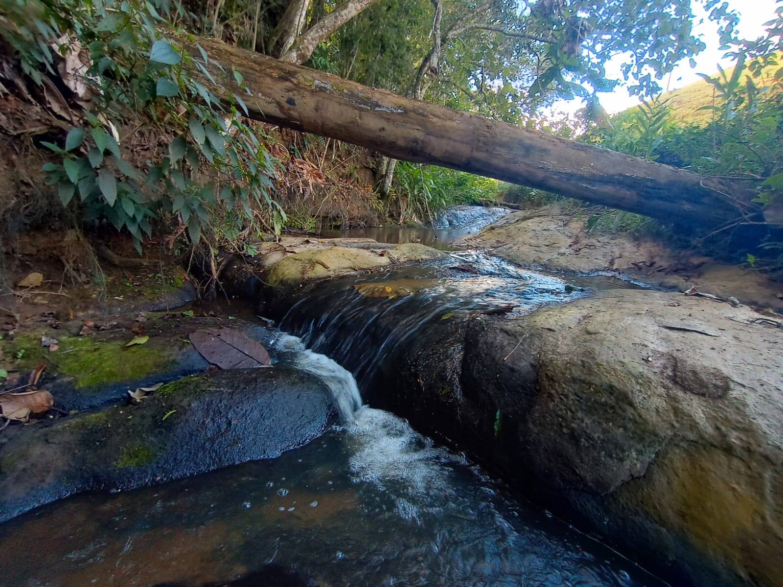Terreno, 1 hectares - Foto 7