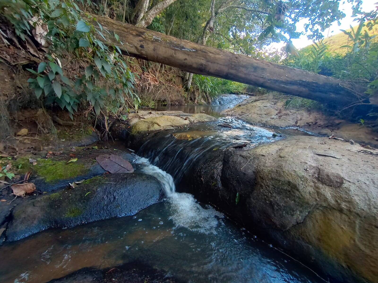 Terreno, 1 hectares - Foto 6