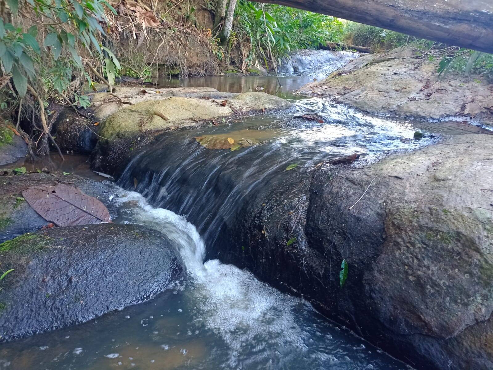 Terreno, 1 hectares - Foto 8