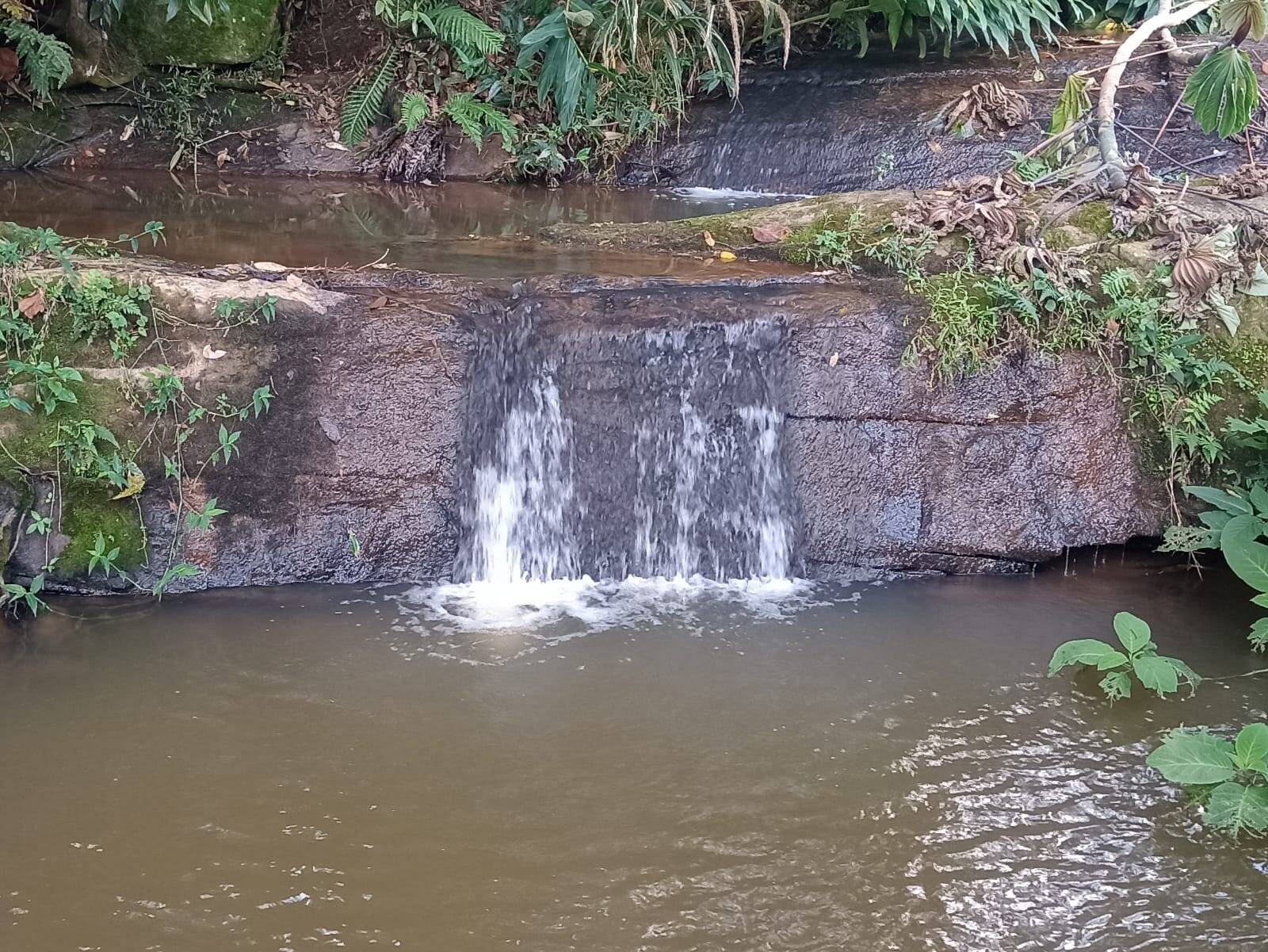 Terreno, 1 hectares - Foto 10