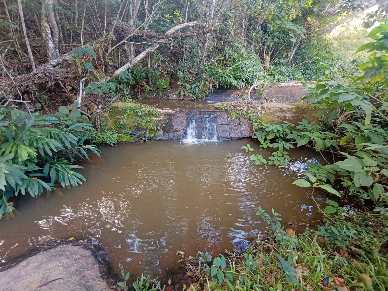 Terreno, 1 hectares - Foto 11