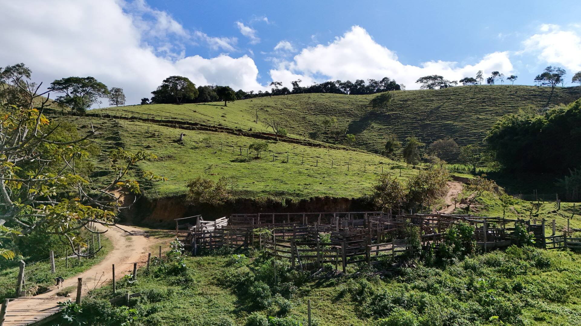 Terreno, 1 hectares - Foto 19