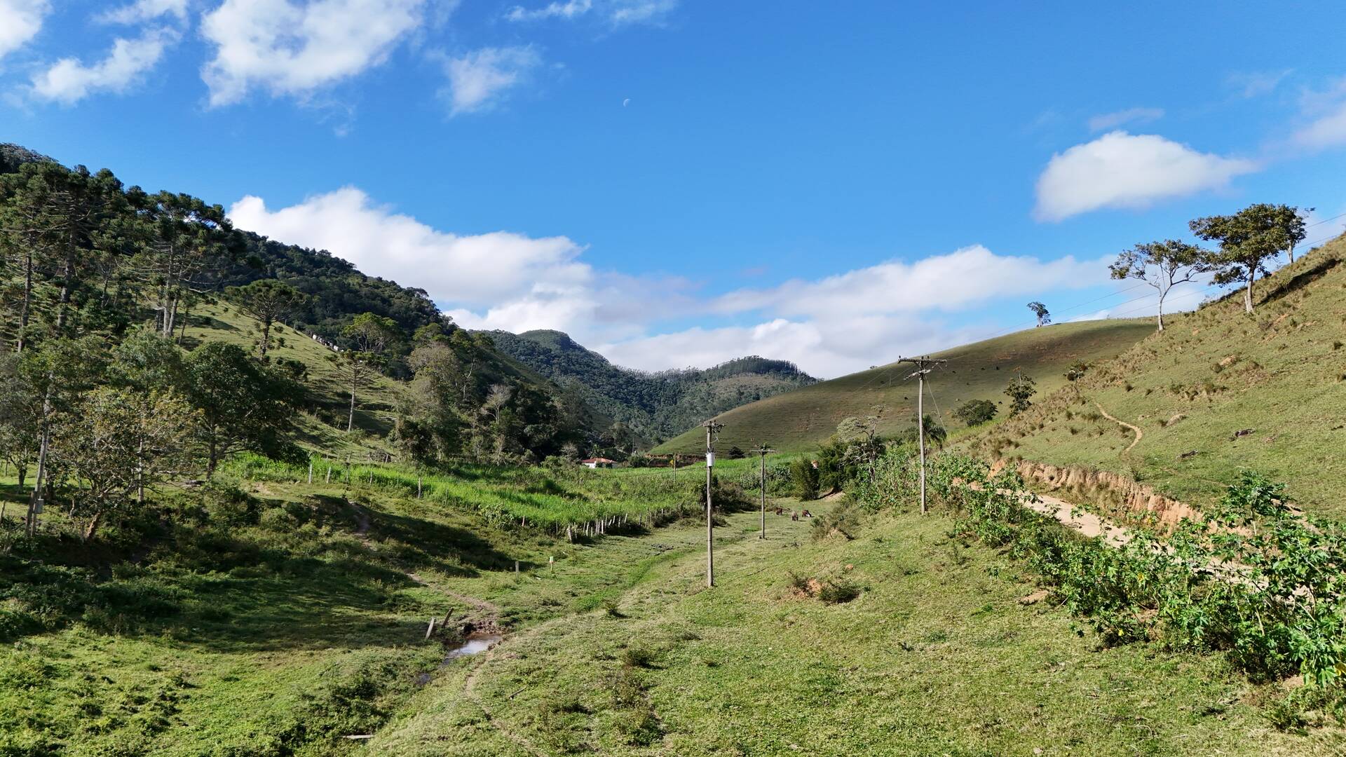 Terreno, 1 hectares - Foto 20