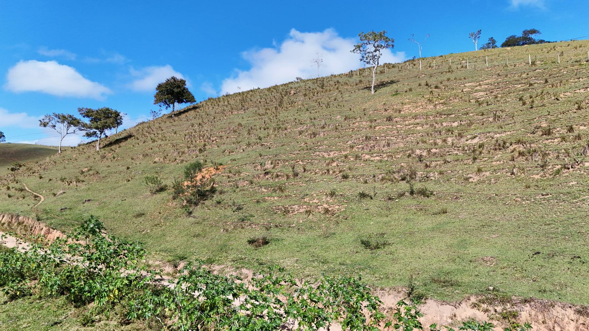 Terreno, 1 hectares - Foto 21