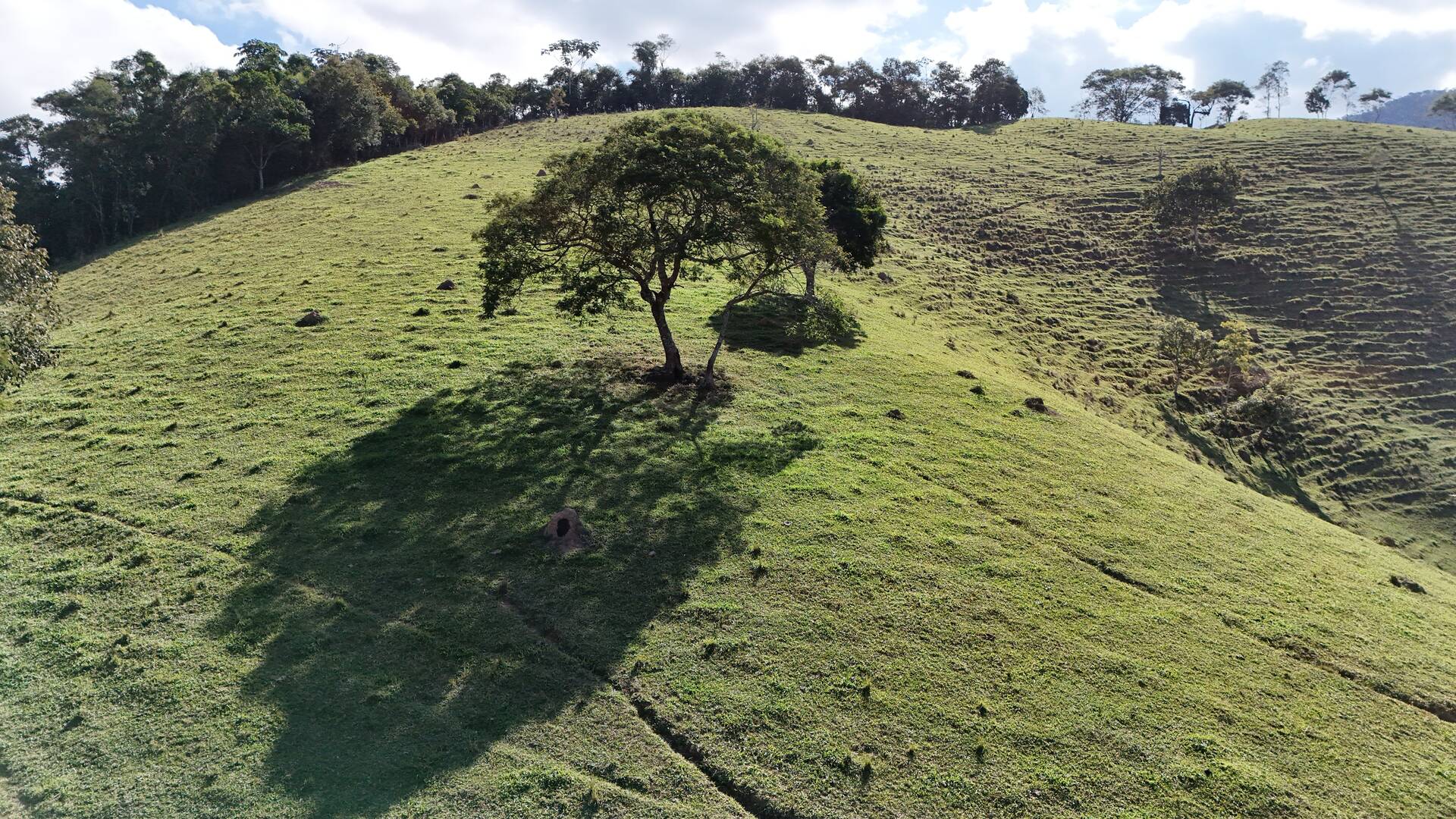 Terreno, 1 hectares - Foto 42