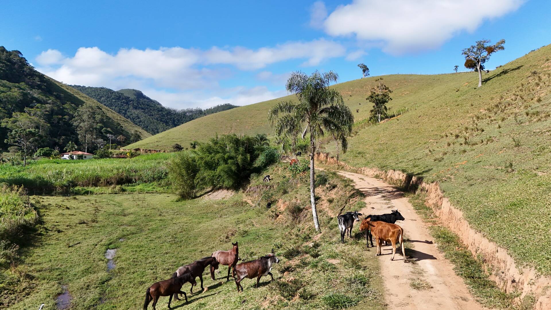 Terreno, 1 hectares - Foto 47