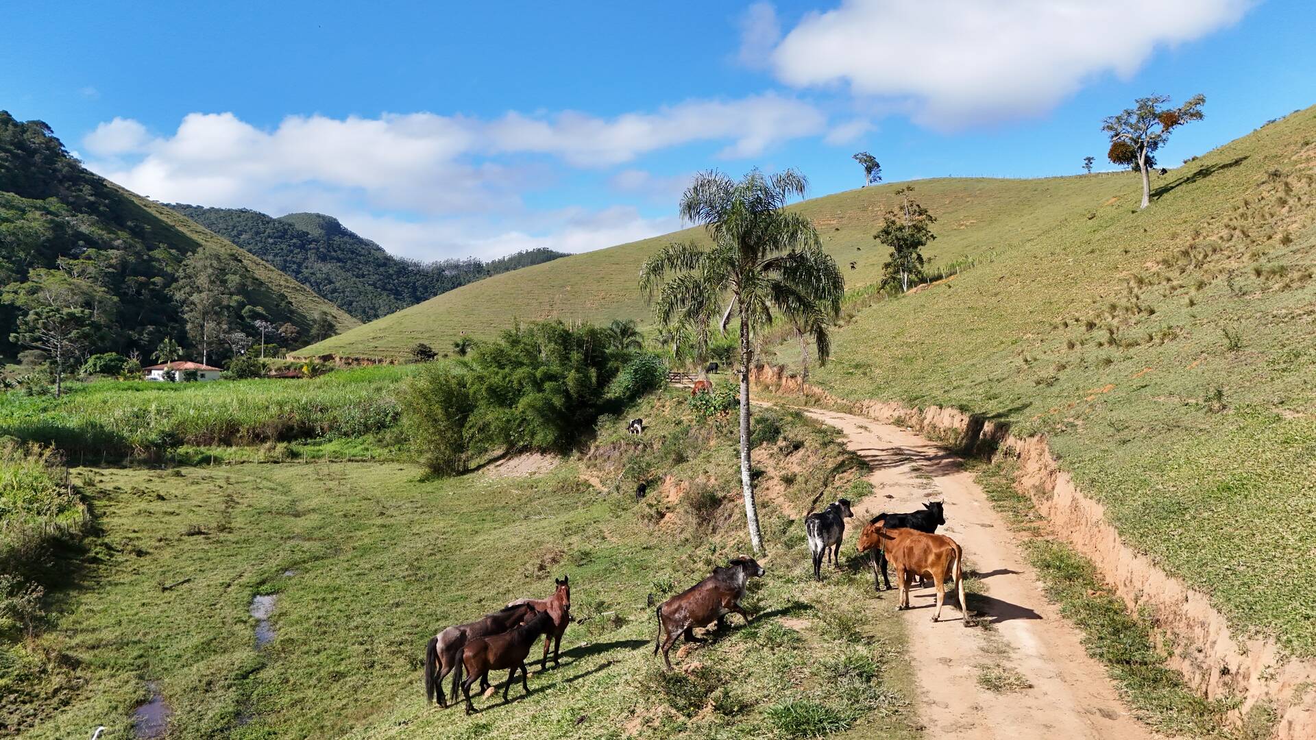 Terreno, 1 hectares - Foto 48