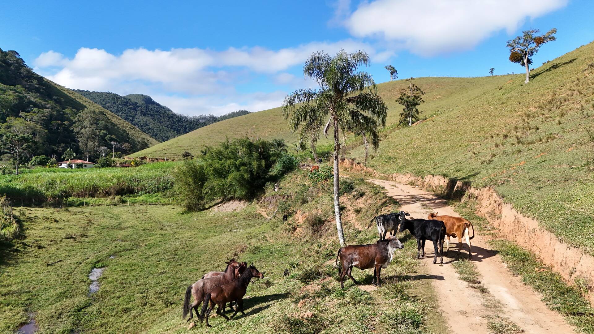 Terreno, 1 hectares - Foto 49