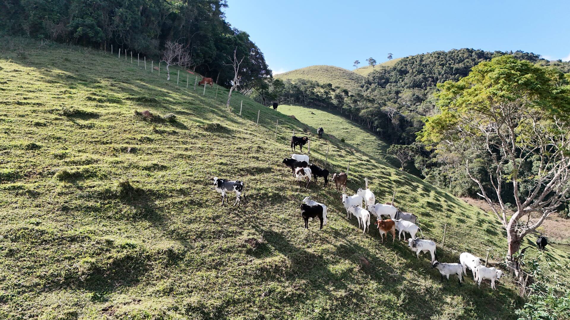 Terreno, 1 hectares - Foto 50