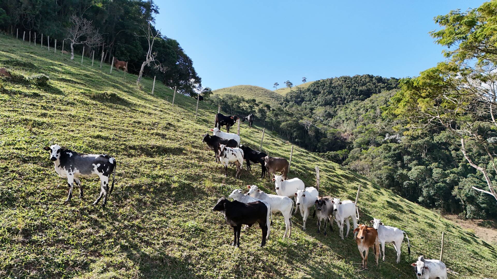 Terreno, 1 hectares - Foto 52