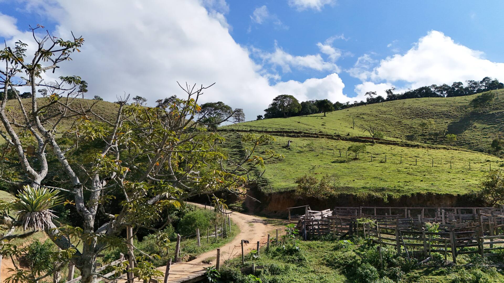 Terreno, 1 hectares - Foto 62