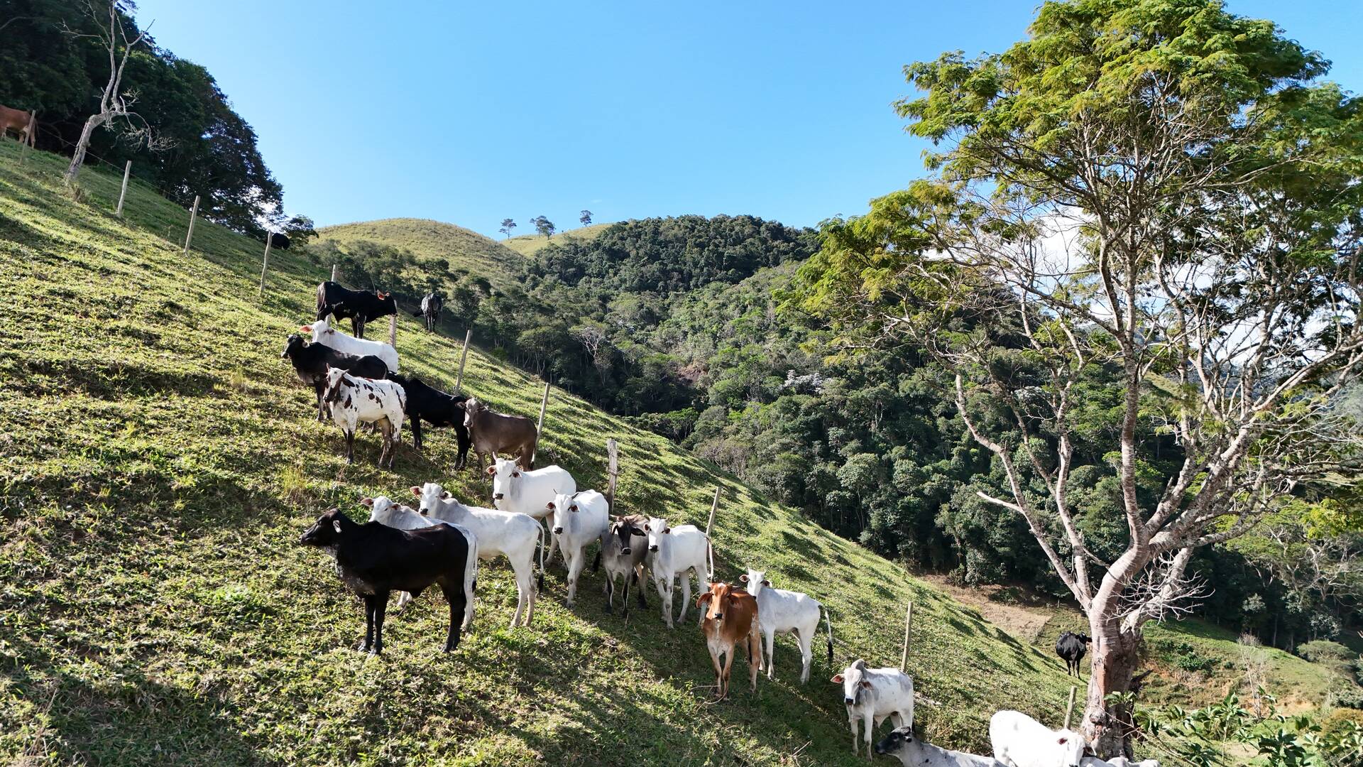 Terreno, 1 hectares - Foto 67