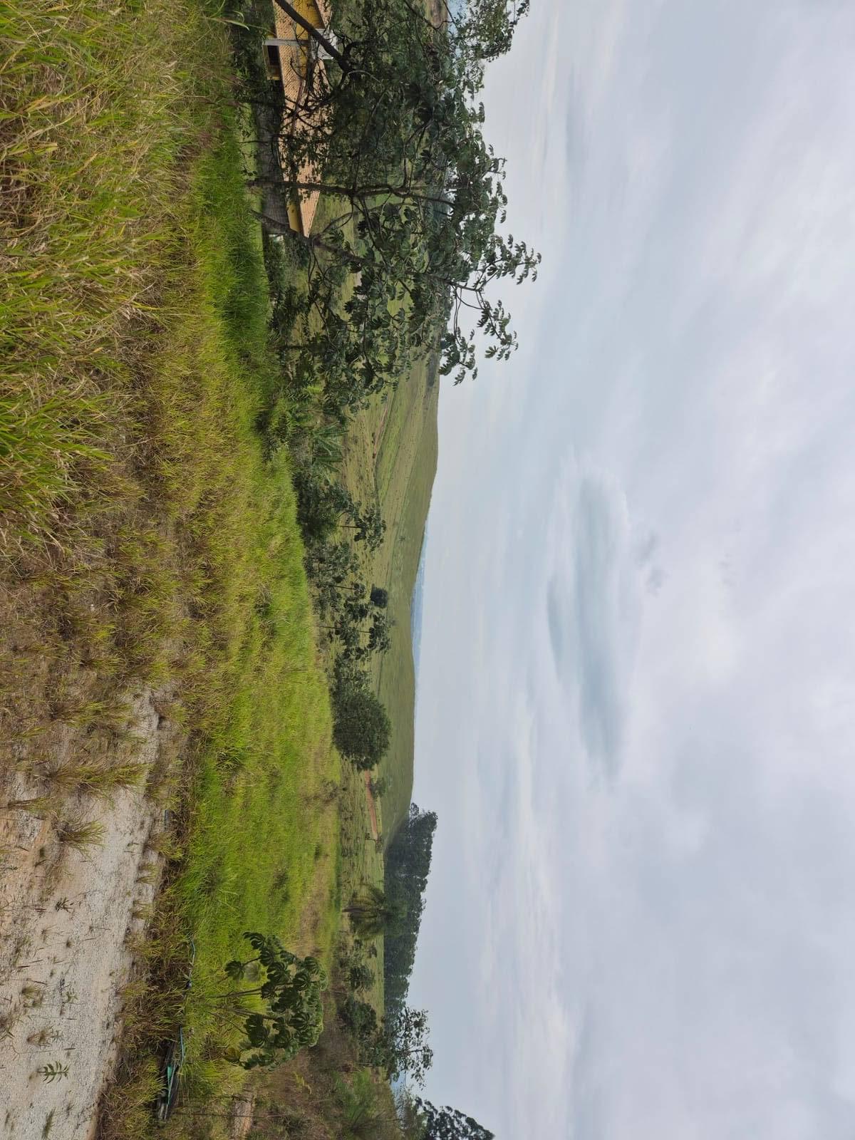 Terreno, 2000 m² - Foto 4