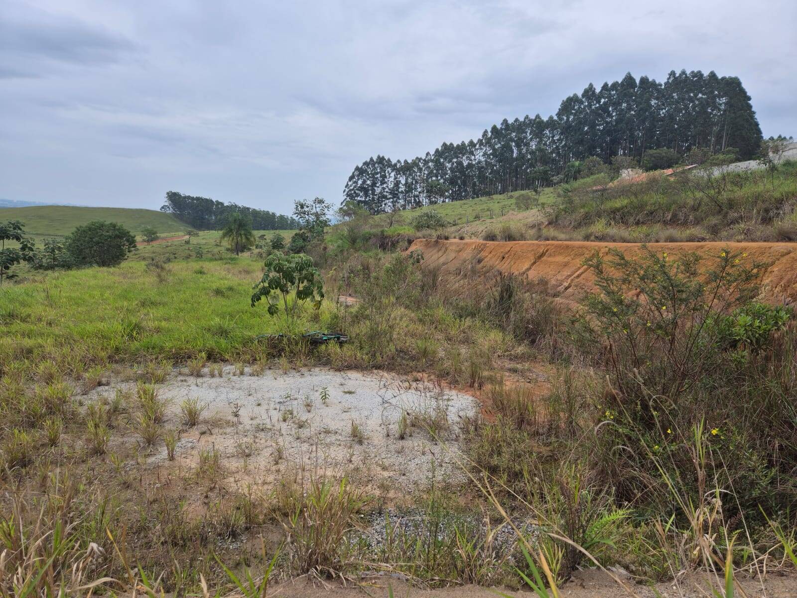 Terreno, 2000 m² - Foto 5