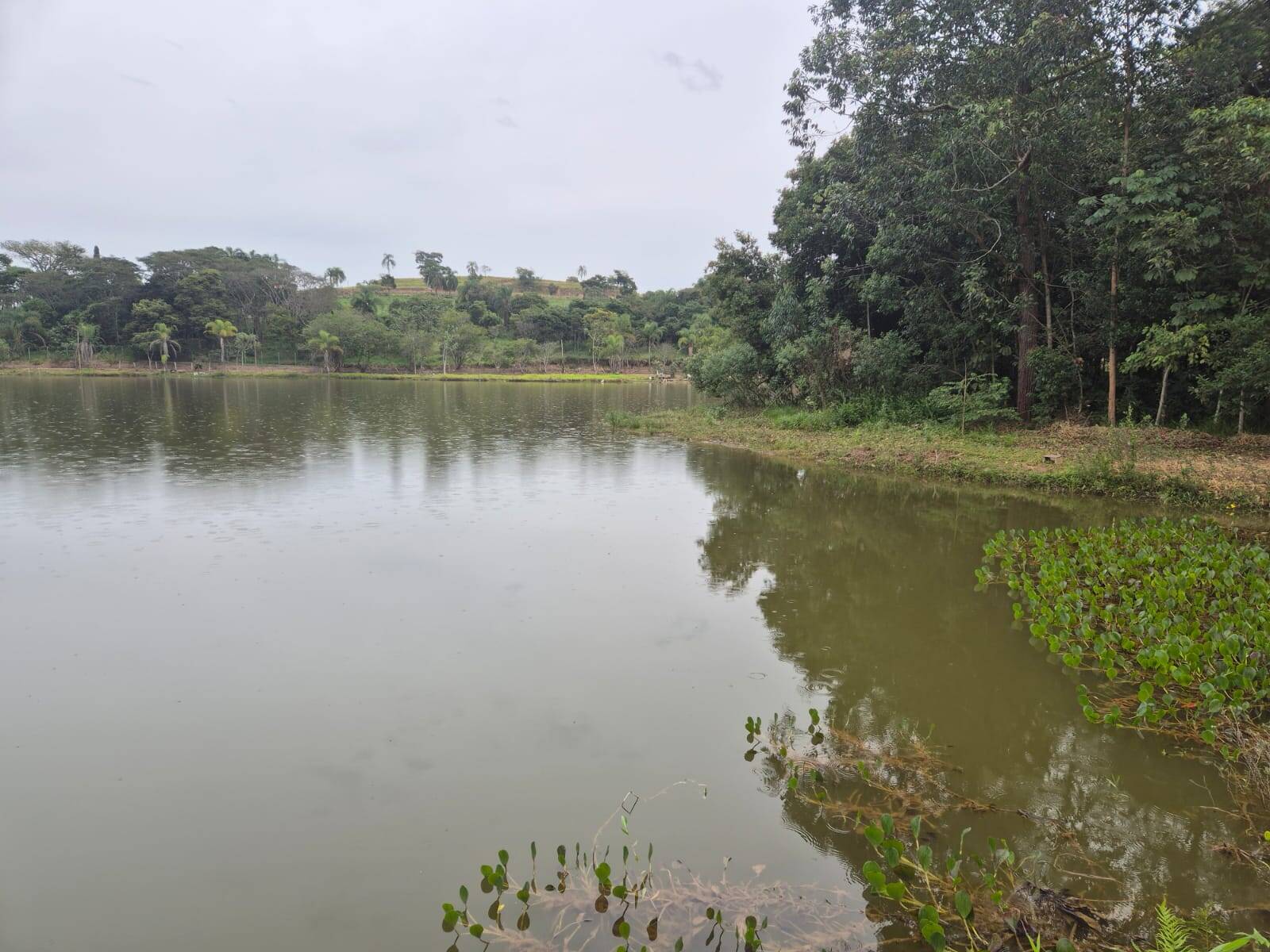 Terreno, 2000 m² - Foto 9