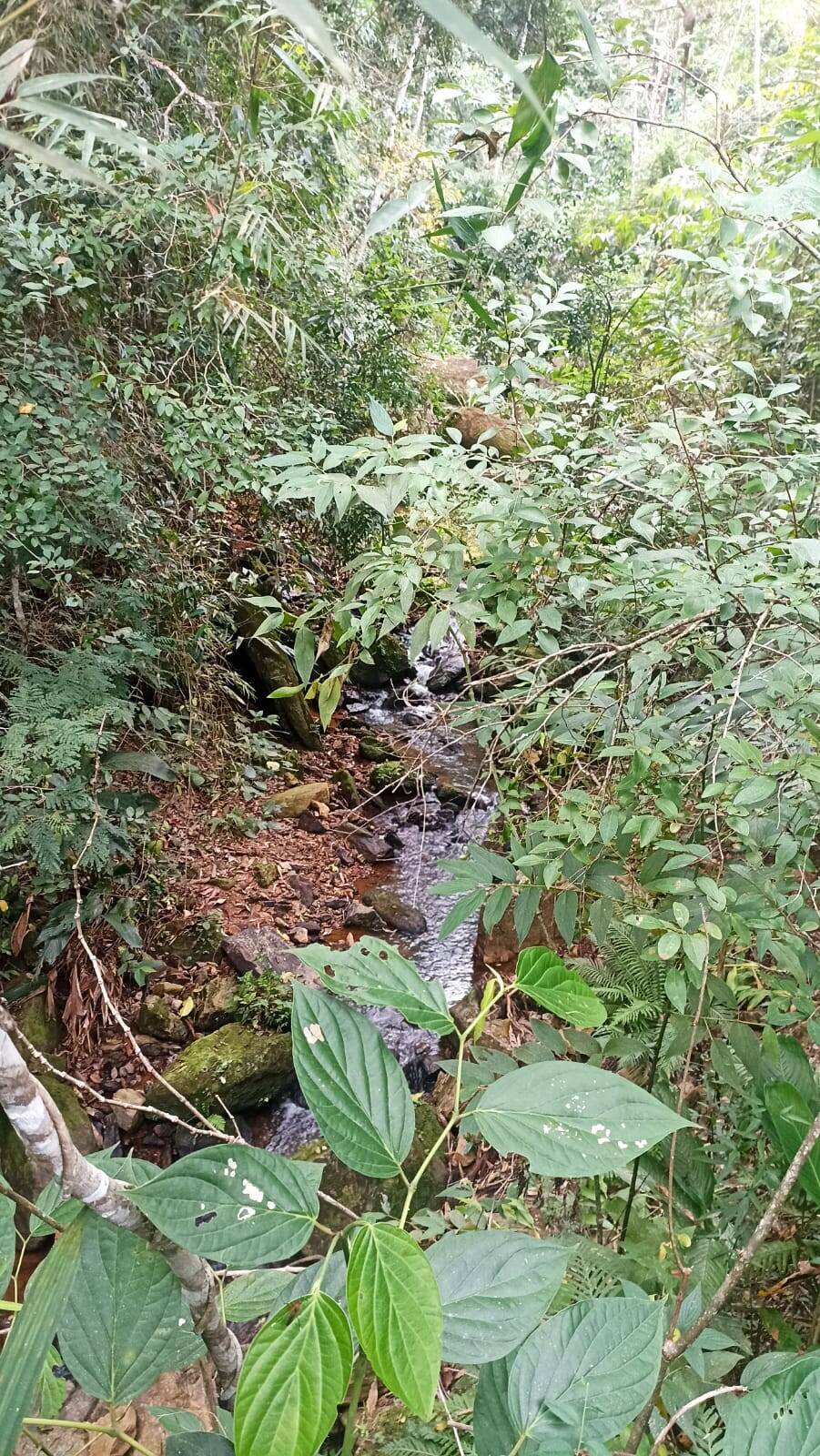 Sítio, 2 quartos, 10 hectares - Foto 3