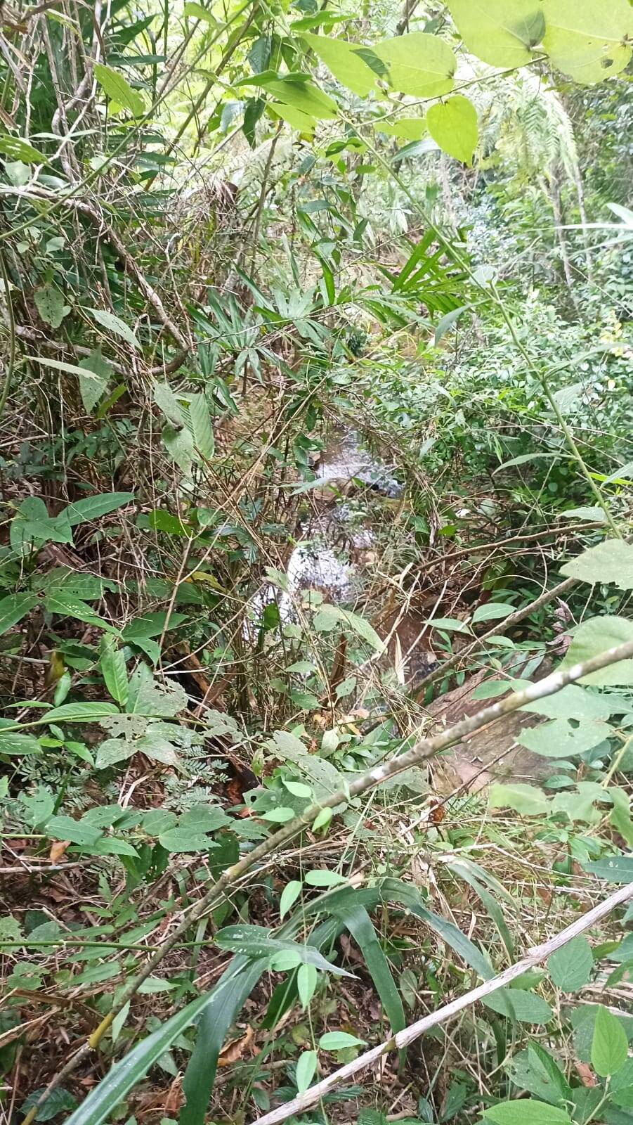 Sítio, 2 quartos, 10 hectares - Foto 2