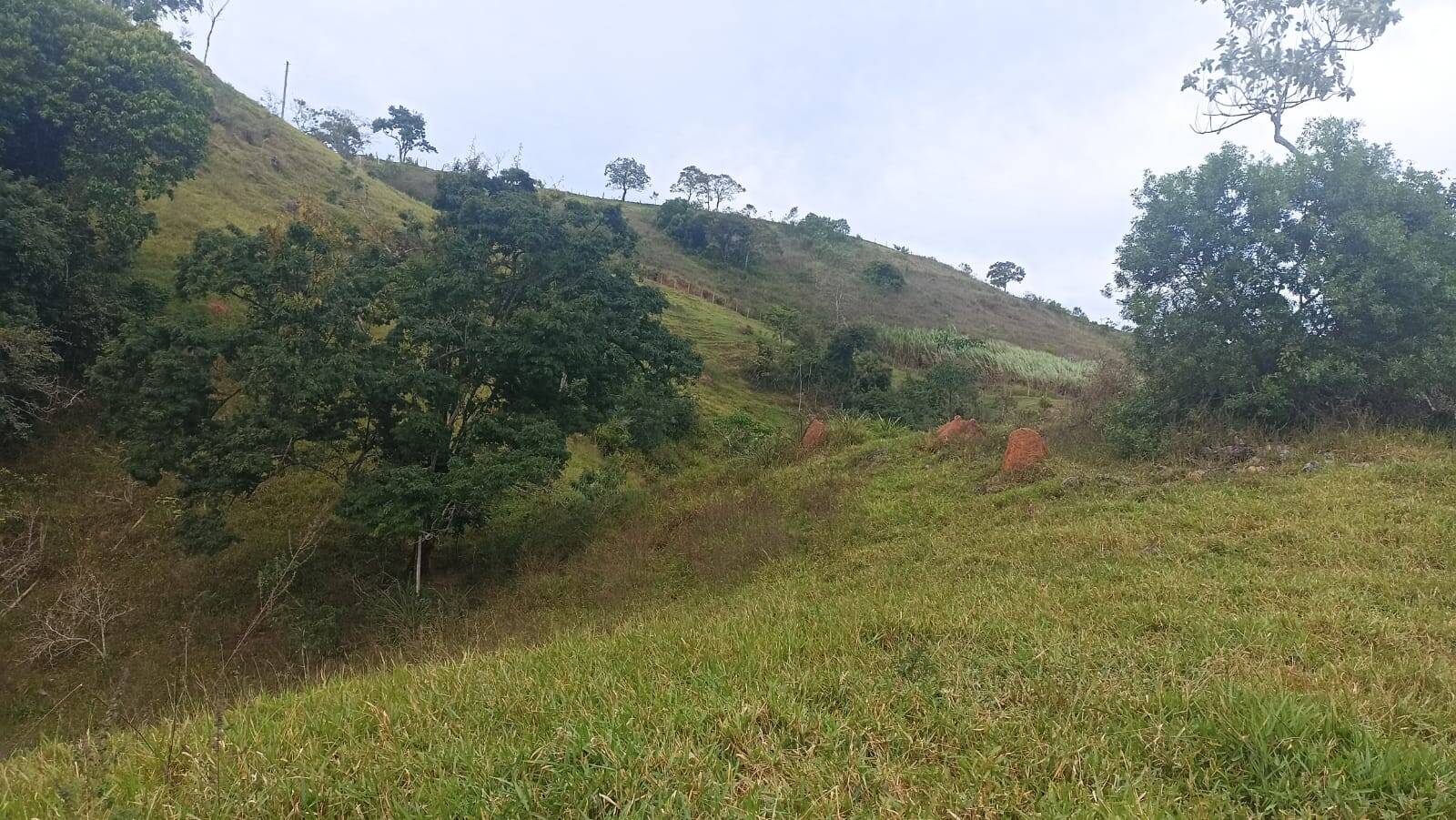 Sítio, 2 quartos, 10 hectares - Foto 5