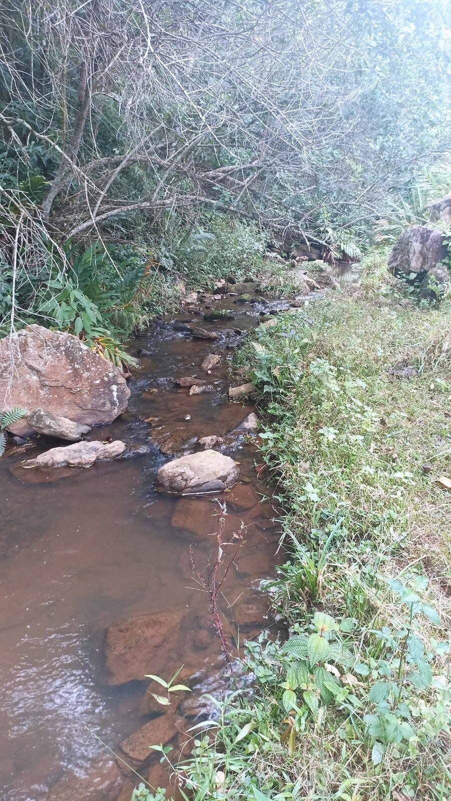 Sítio, 2 quartos, 10 hectares - Foto 8