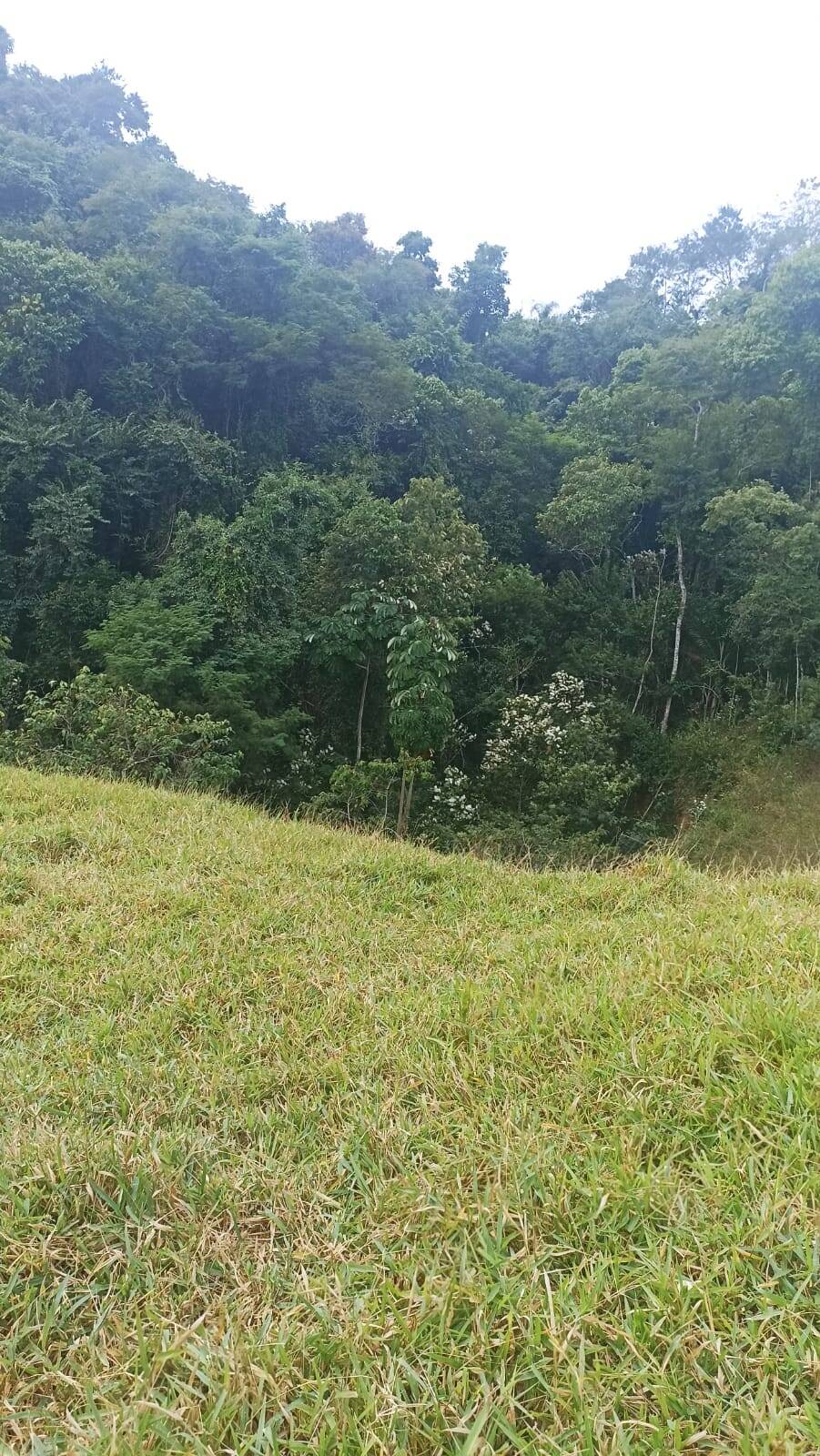 Sítio, 2 quartos, 10 hectares - Foto 7