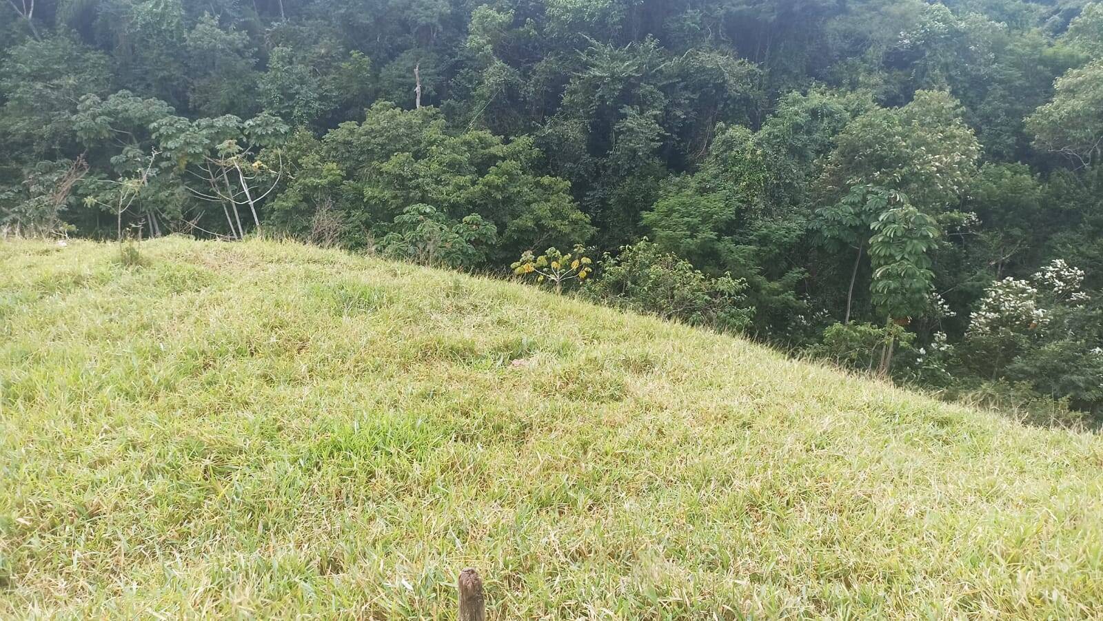 Sítio, 2 quartos, 10 hectares - Foto 6