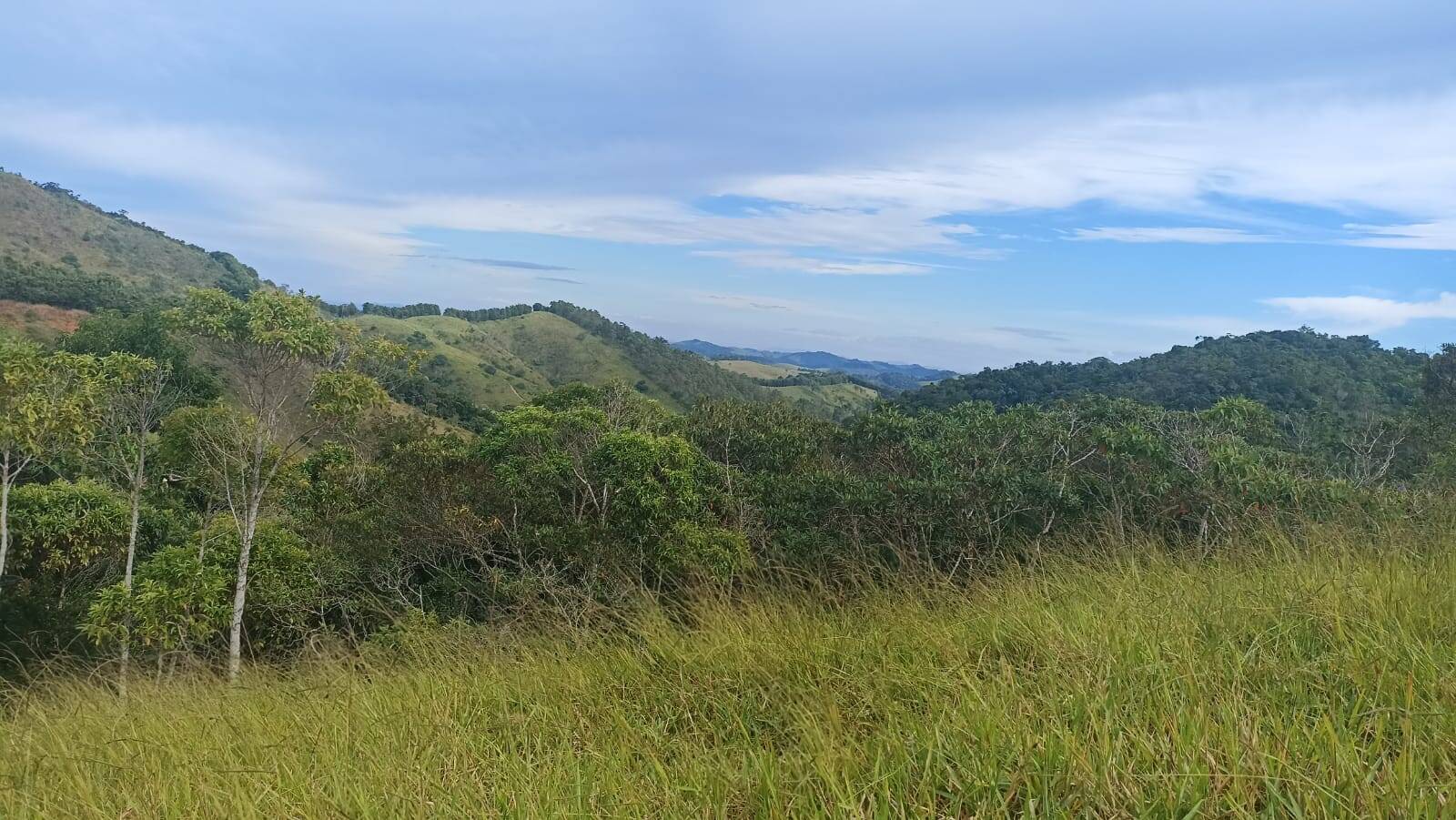 Sítio, 2 quartos, 10 hectares - Foto 13