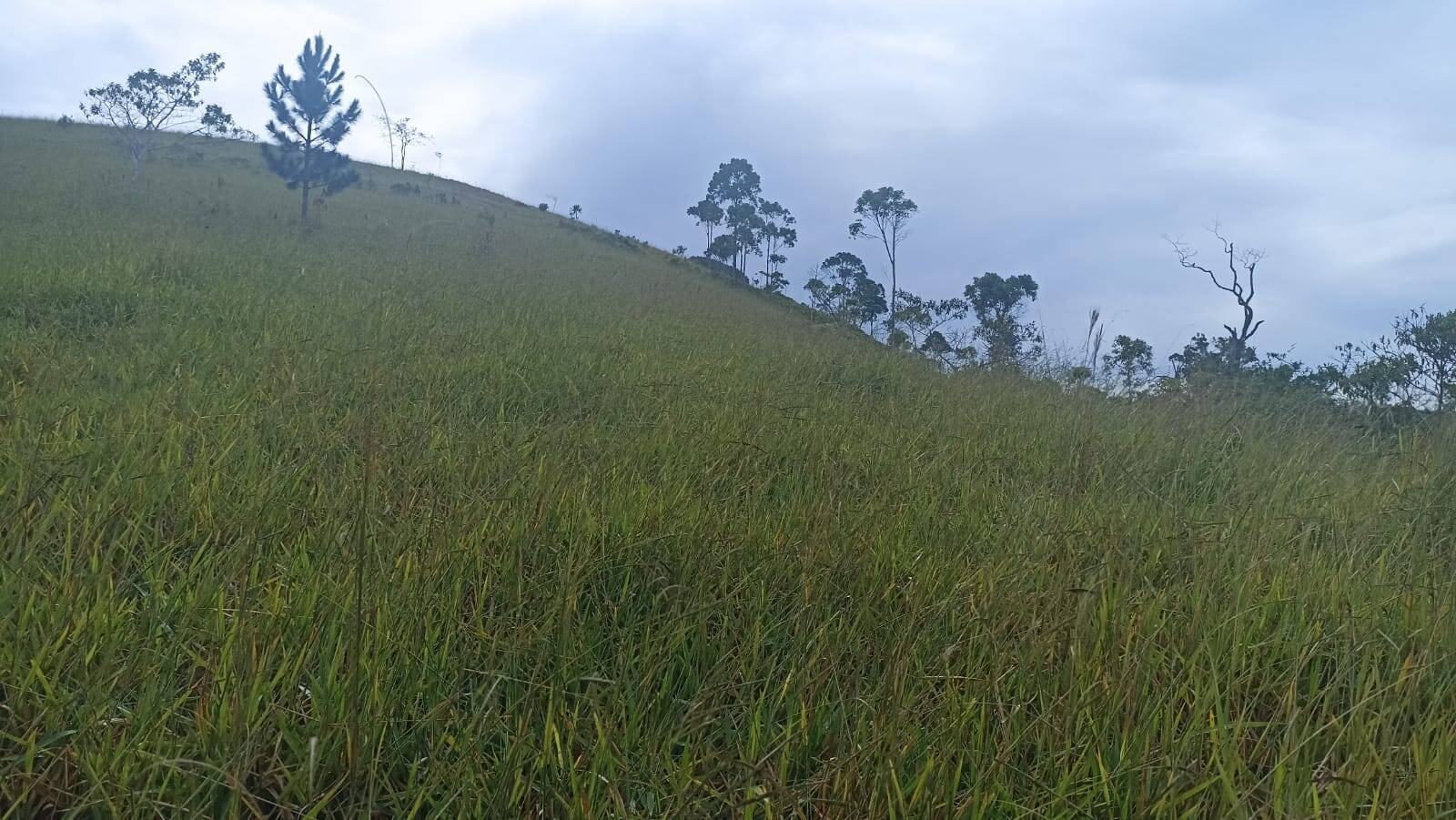 Sítio, 2 quartos, 10 hectares - Foto 10