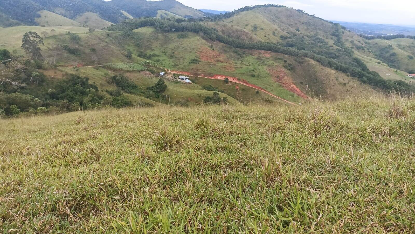 Sítio, 2 quartos, 10 hectares - Foto 16