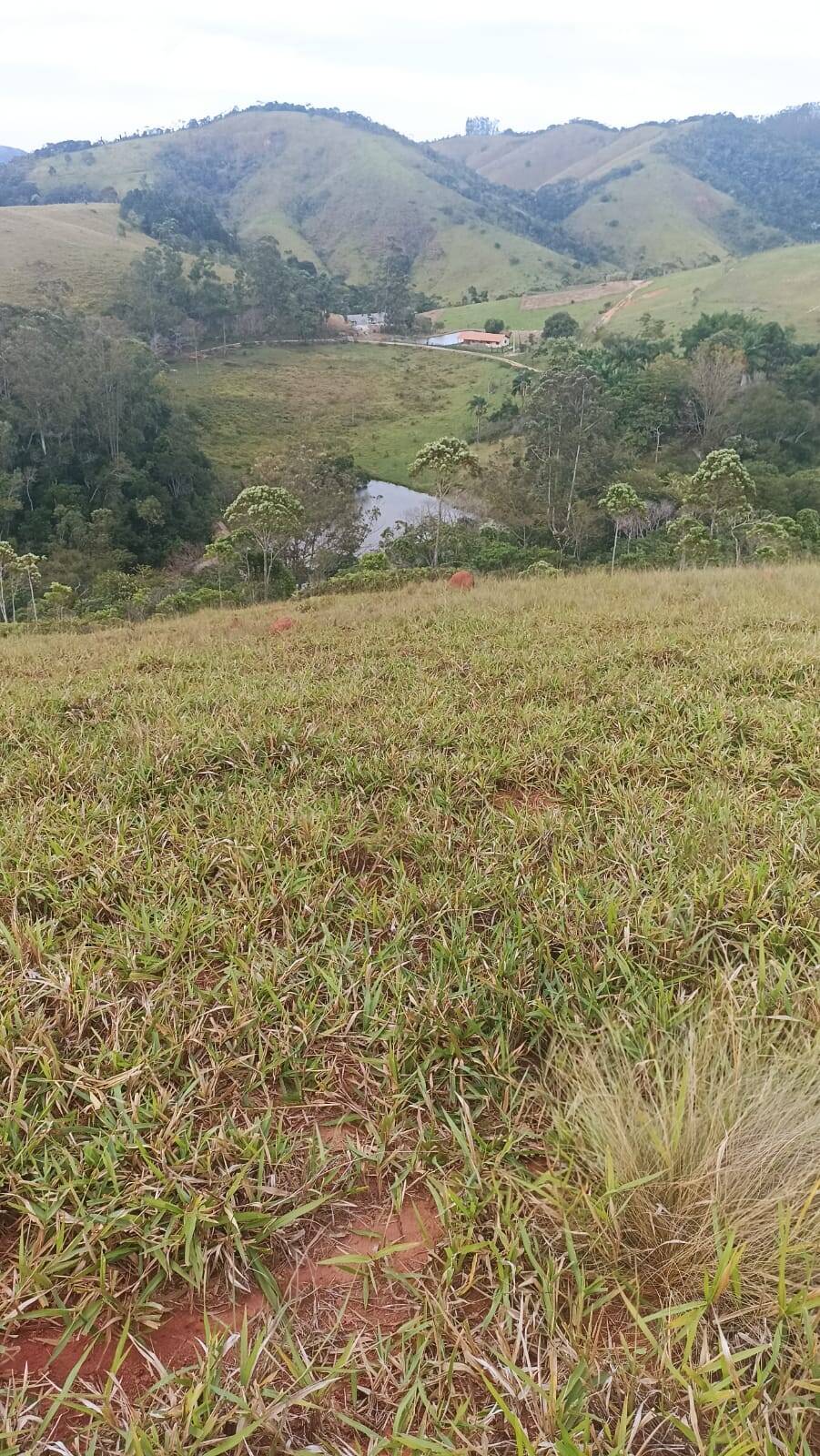 Sítio, 2 quartos, 10 hectares - Foto 14