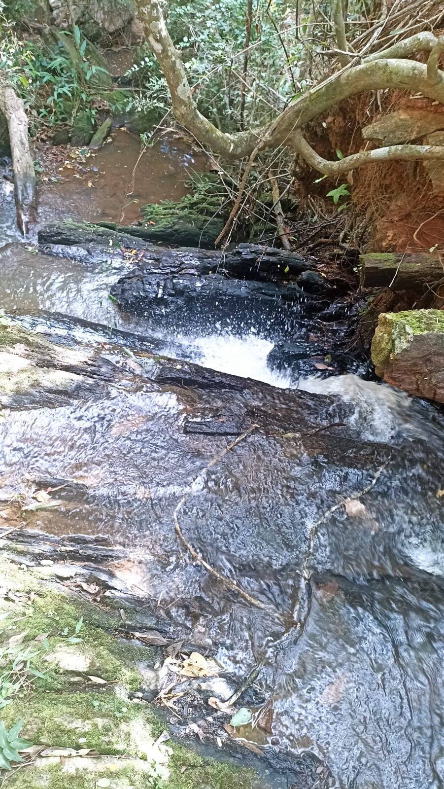 Sítio, 2 quartos, 10 hectares - Foto 17