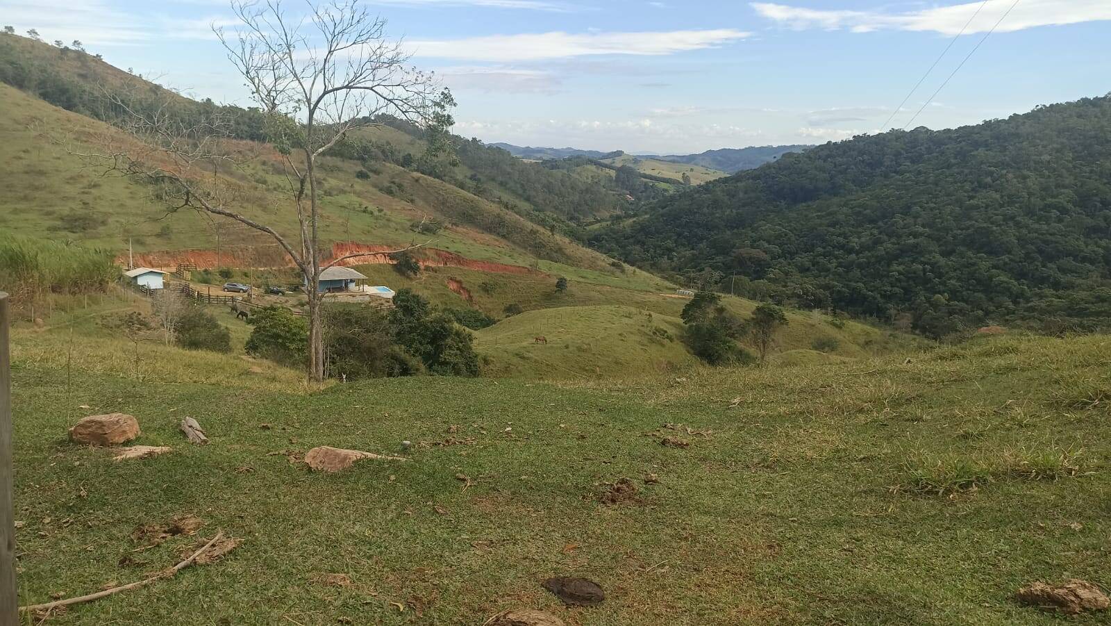 Sítio, 2 quartos, 10 hectares - Foto 18