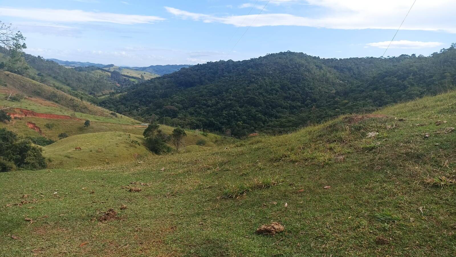 Sítio, 2 quartos, 10 hectares - Foto 19