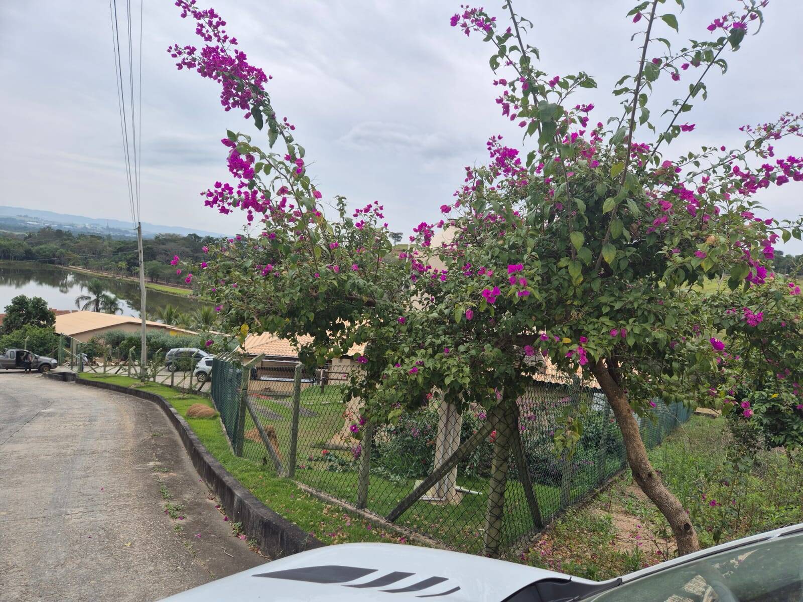 Terreno, 3000 m² - Foto 1