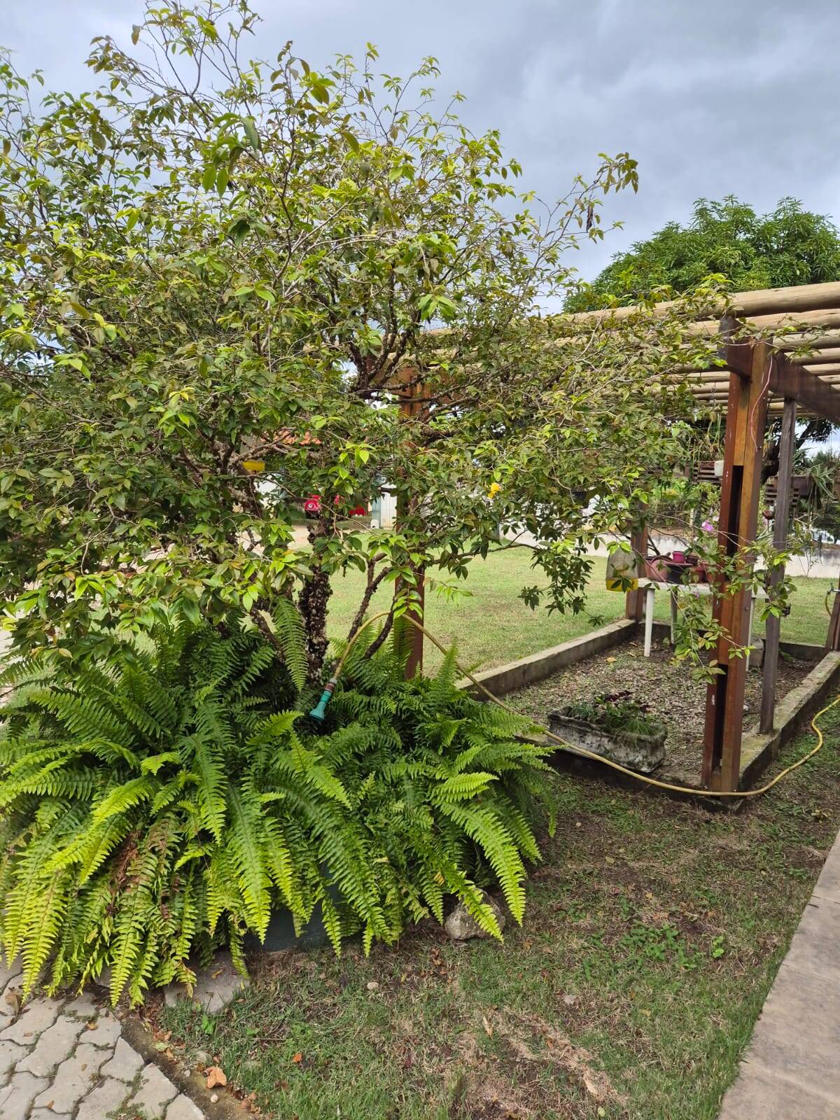 Chácara, 3 quartos, 3800 m² - Foto 2