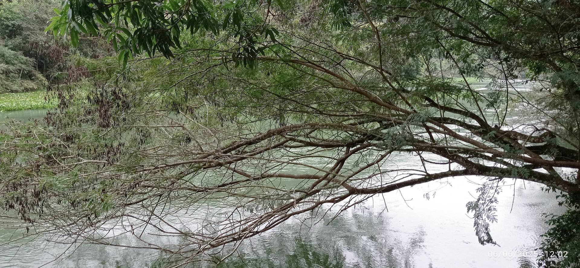 Terreno, 2900 m² - Foto 16