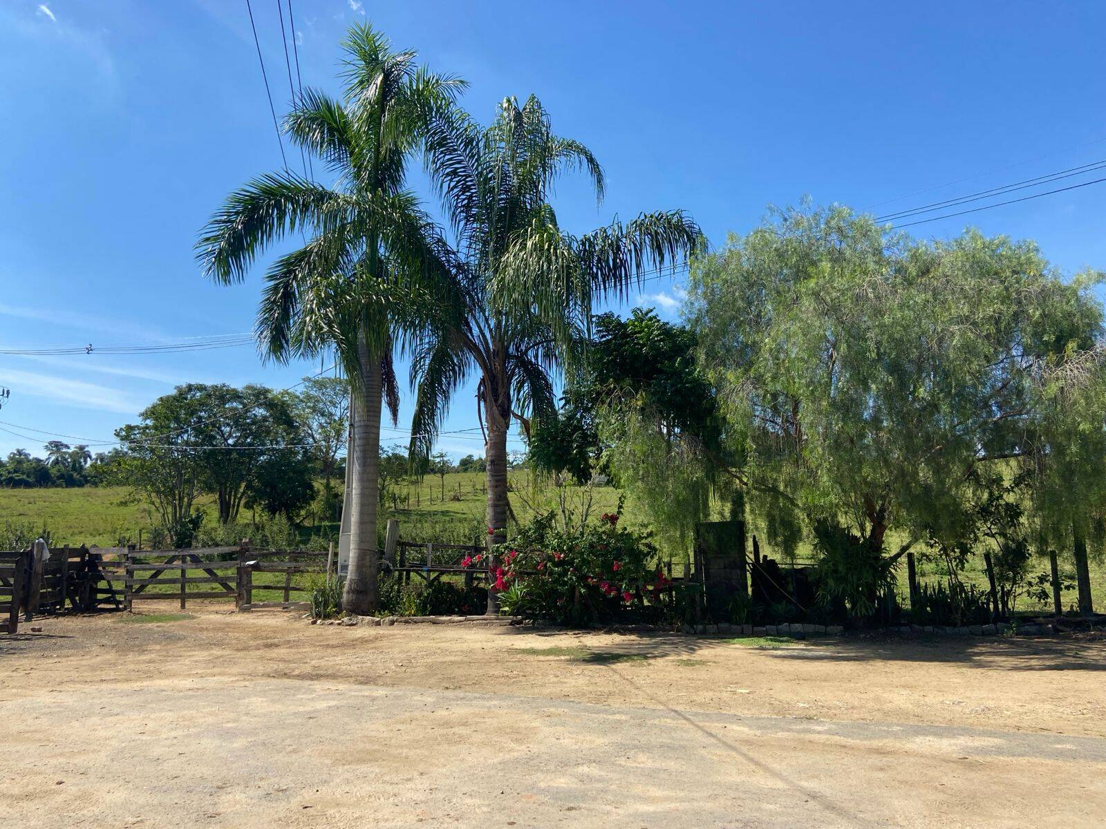 Sítio, 3 quartos, 8 hectares - Foto 1