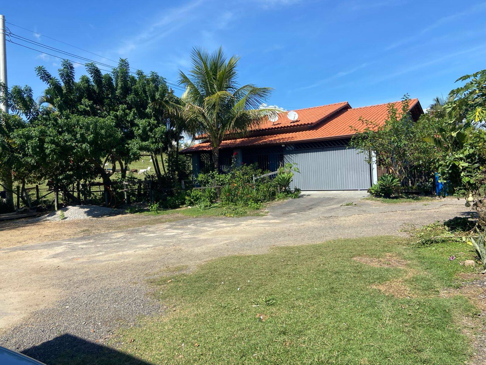 Sítio, 3 quartos, 8 hectares - Foto 4