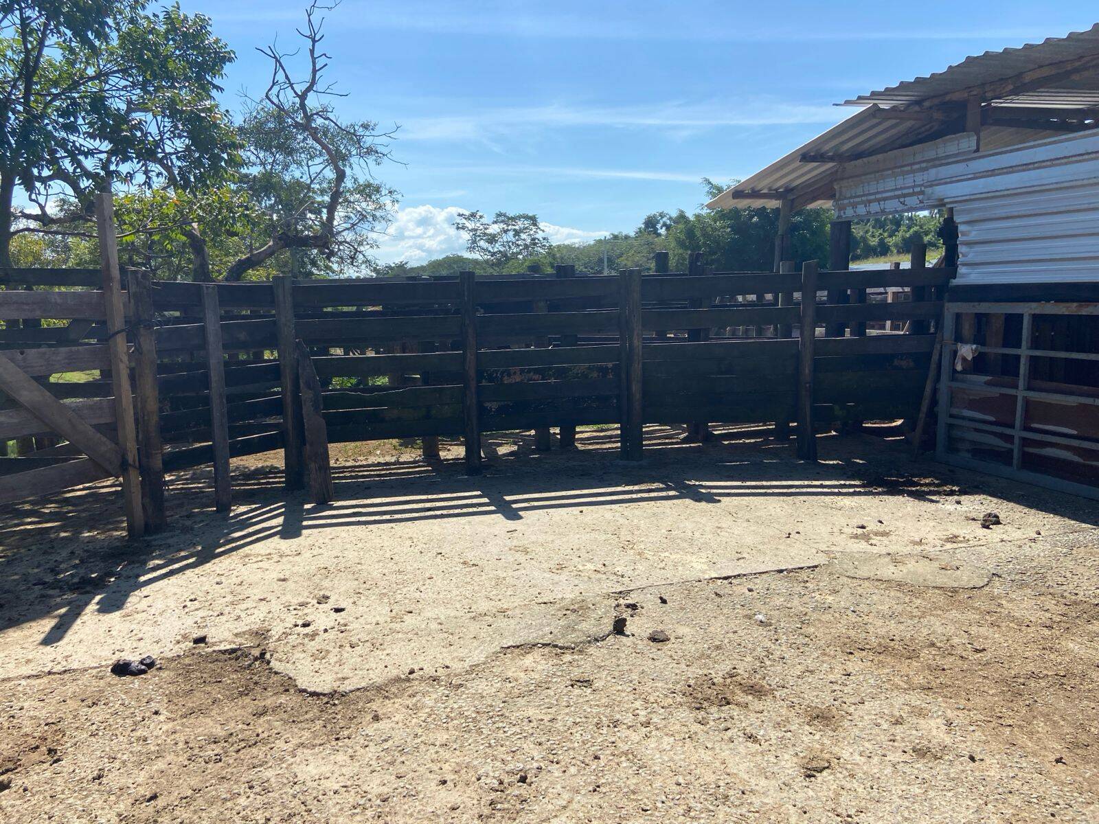 Sítio, 3 quartos, 8 hectares - Foto 5