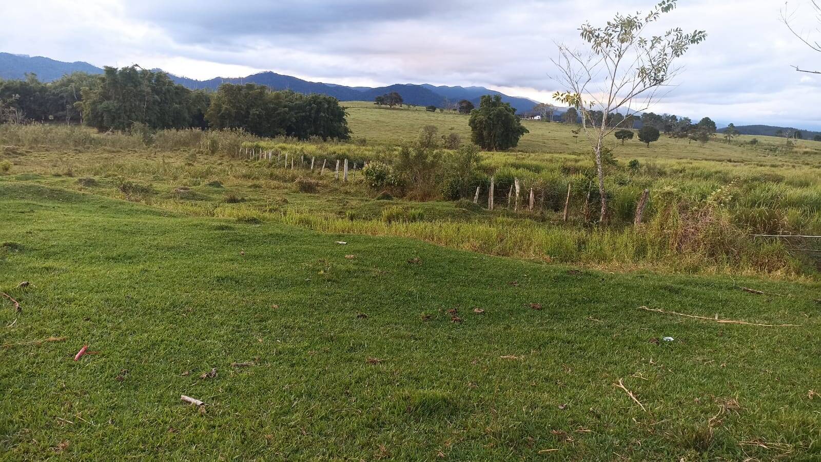 Fazenda, 169 hectares - Foto 4